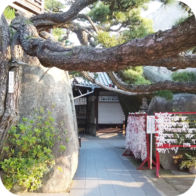 神社と大木