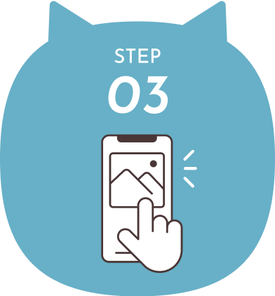 猫型のイラスト:STEP3